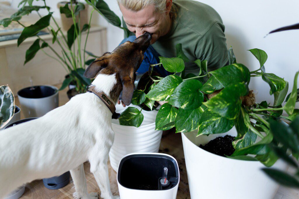 A foto mostra uma área externa de um apartamento garden. Nela há vários vasos de plantas de diferentes tamanhos com uma pessoa abaixada cuidando deles. Há também um cachorro dando uma lambida no rosto da pessoa na imagem.