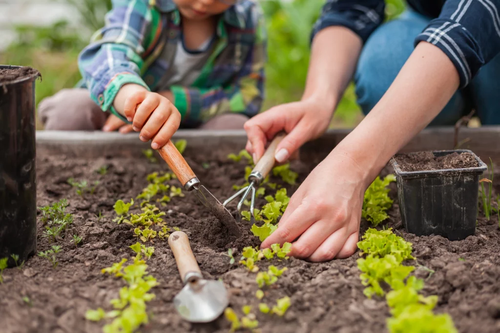  Imagem de uma mãe e uma criança fazendo jardinagem em um terreno. Elas plantam vegetais no solo para ilustrar matéria sobre terreno baldio
