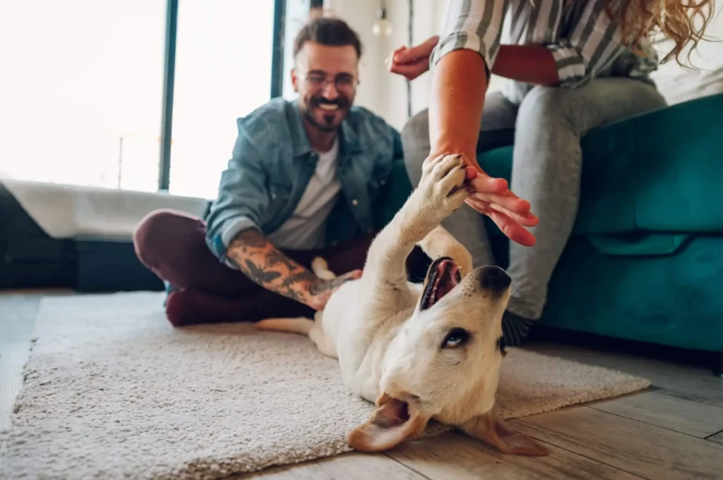 Imagem de um homem e uma mulher brincando com um cachorro no chão da sala de estar de uma casa para ilustrar matéria sobre como fazer um espaço pet em condomínio
